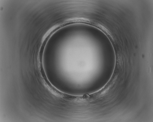 X0000078861082200611131157