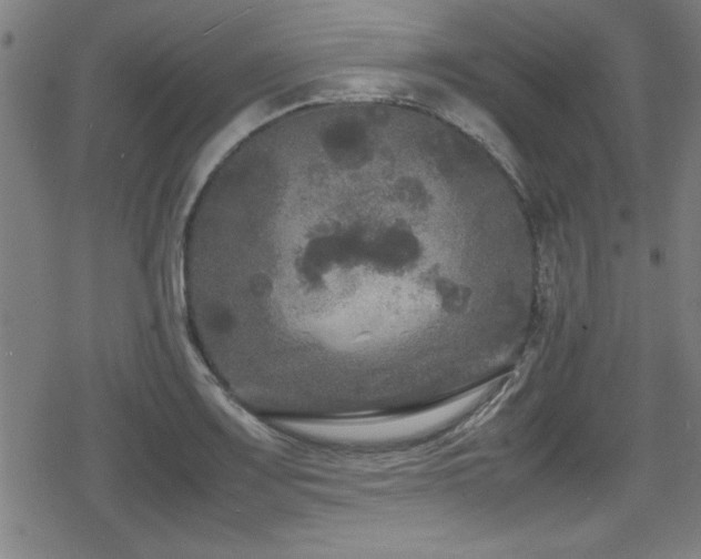 X0000078861083200611131157