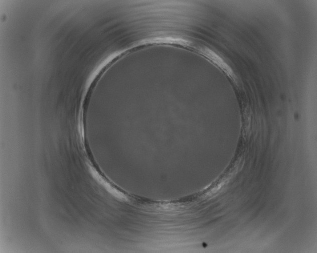 X0000078861084200611131157