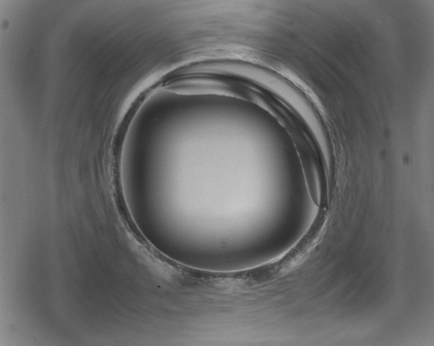 X0000078861085200611131157