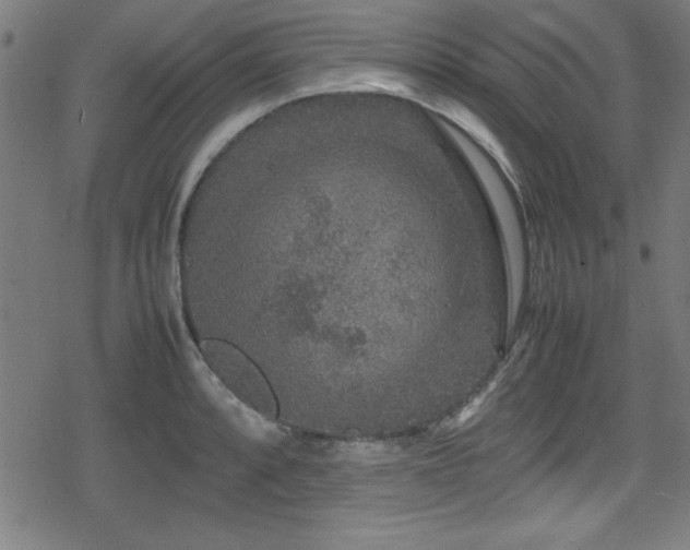 X0000078861088200611131157