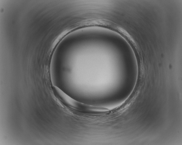 X0000078861089200611131157