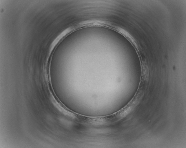 X0000078861090200611131157