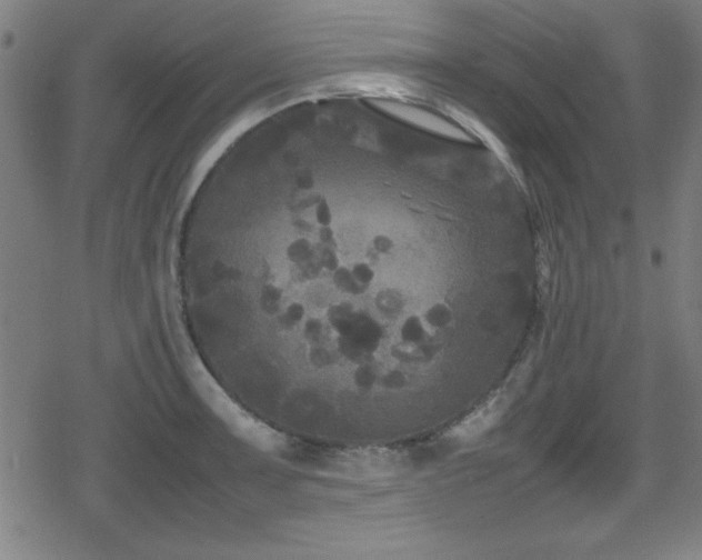 X0000078861091200611131157