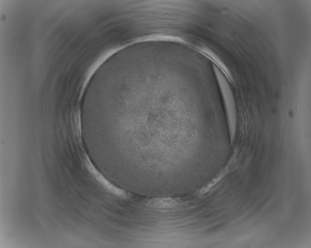 X0000078861092200611131157