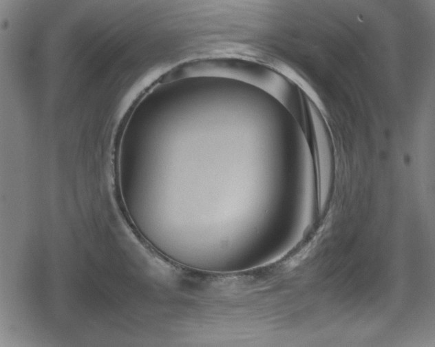 X0000078861093200611131157