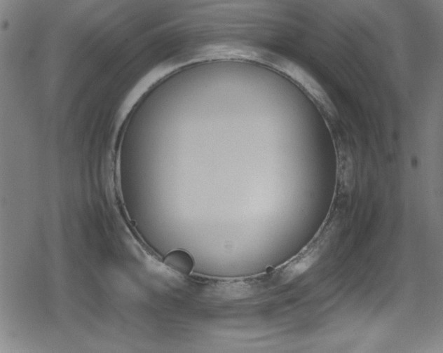 X0000078861094200611131157