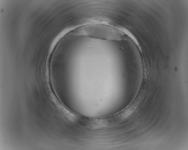 X0000078861096200611131157