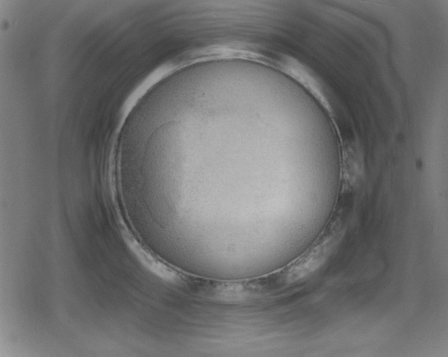 X0000078861098200611131157