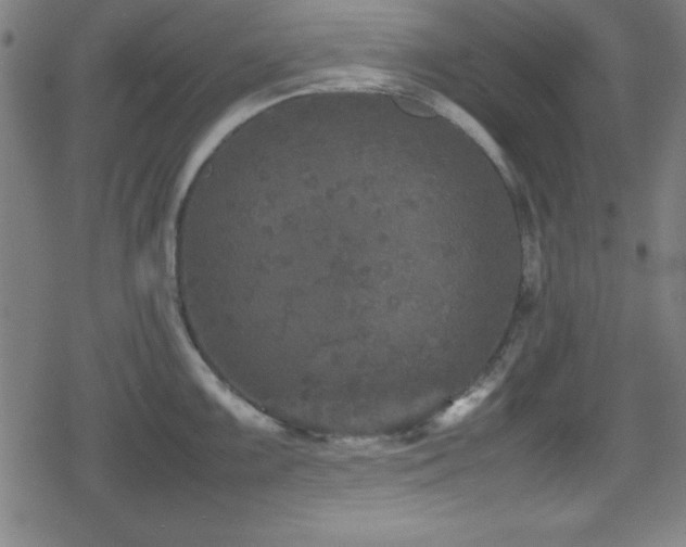 X0000078861099200611131157