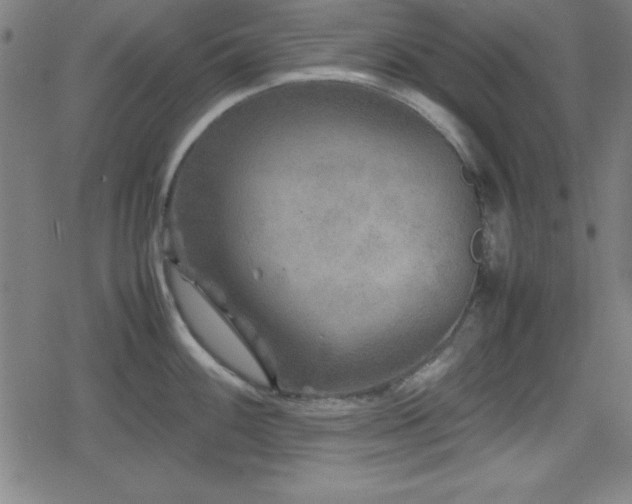 X0000078861100200611131157