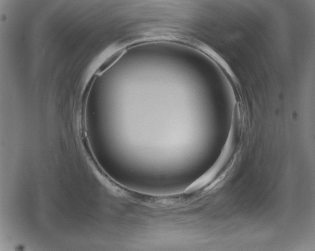 X0000078861101200611131157