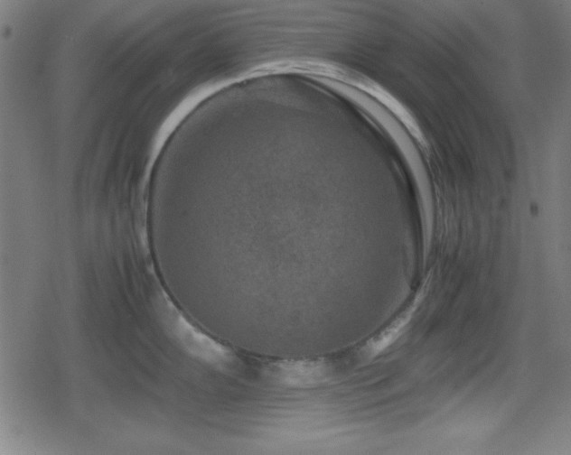 X0000078861102200611131156