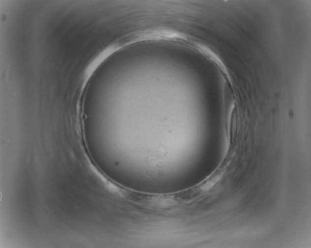 X0000078861103200611131156