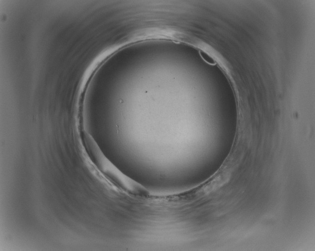 X0000078861104200611131156