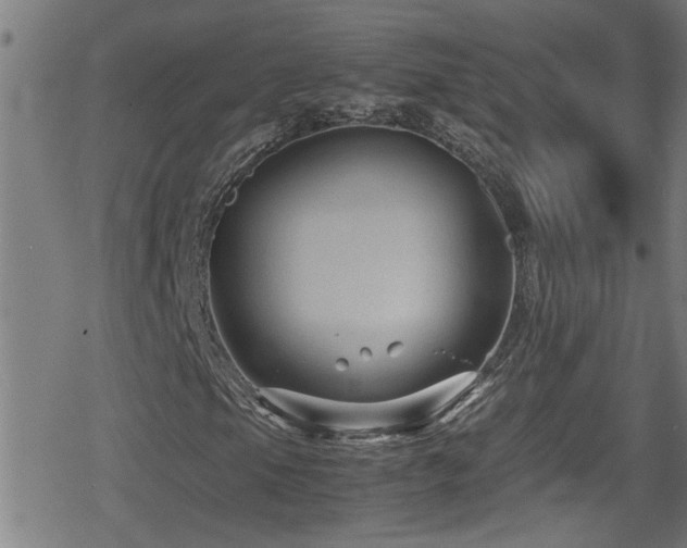 X0000078861105200611131156