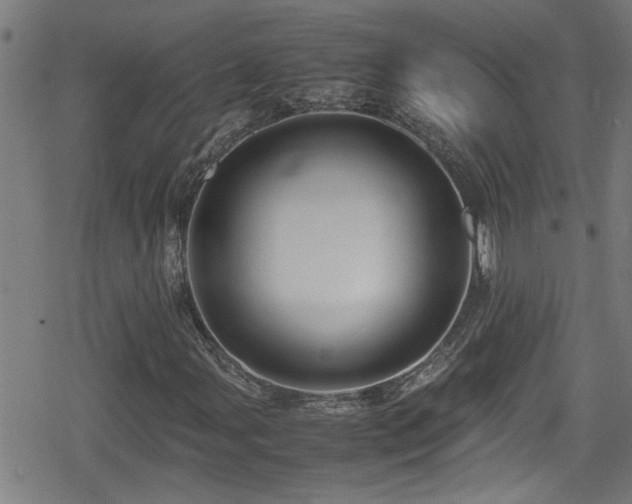 X0000078861107200611131156