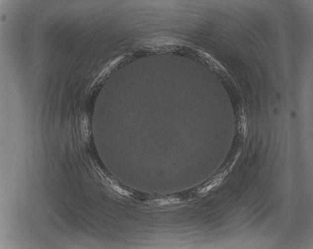 X0000078861108200611131156