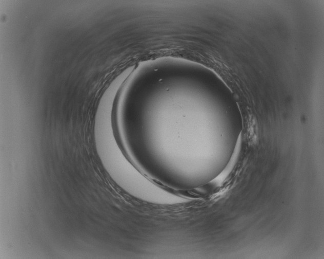 X0000078861109200611131156