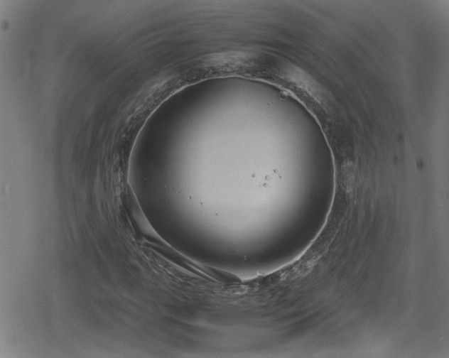 X0000078861111200611131156