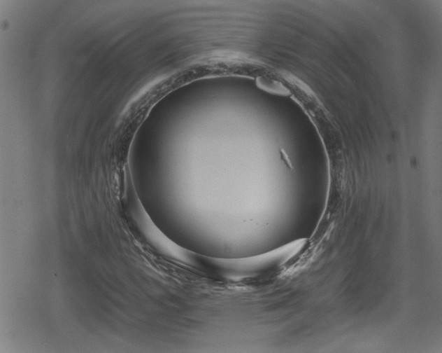 X0000078861112200611131156