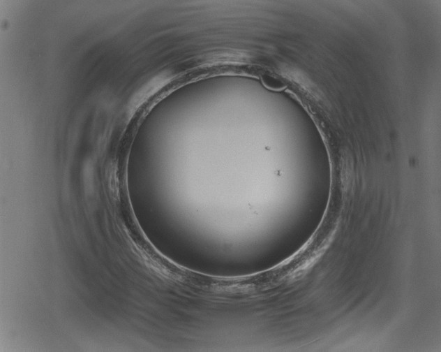 X0000078861113200611131156