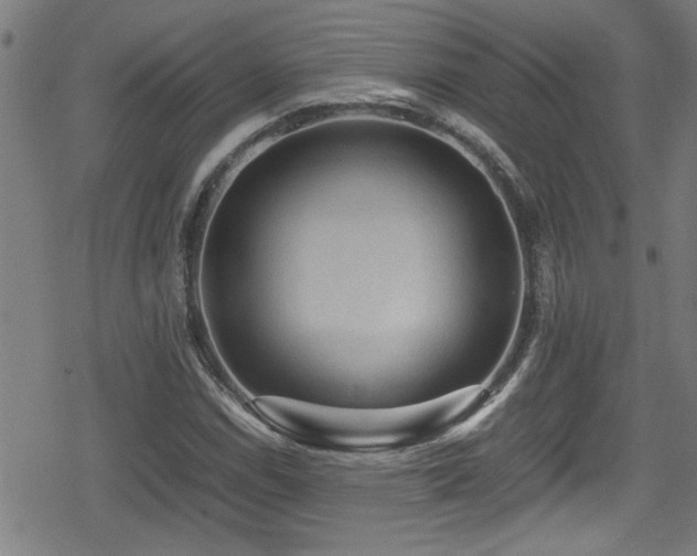 X0000078861114200611131156