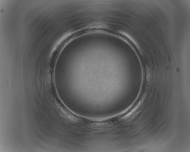 X0000078861115200611131156