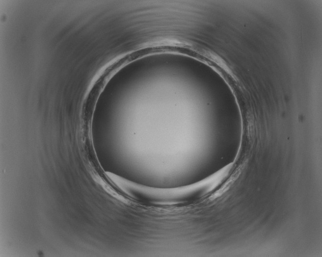 X0000078861116200611131156