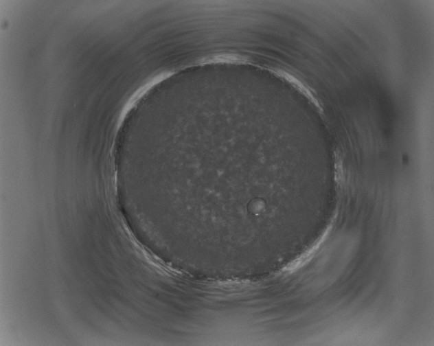 X0000078861117200611131156