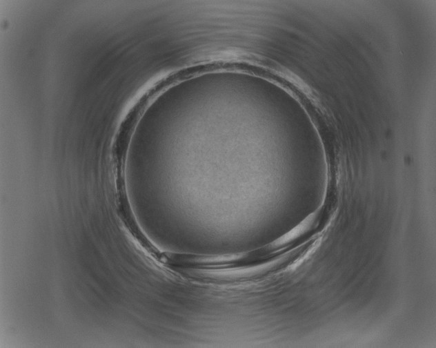 X0000078861118200611131156