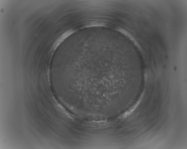 X0000078861121200611131156