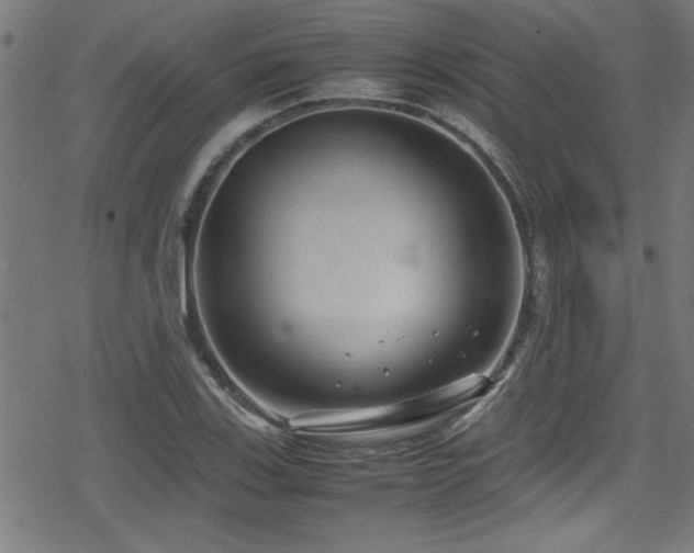 X0000078861123200611131156