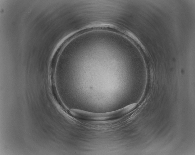 X0000078861124200611131156