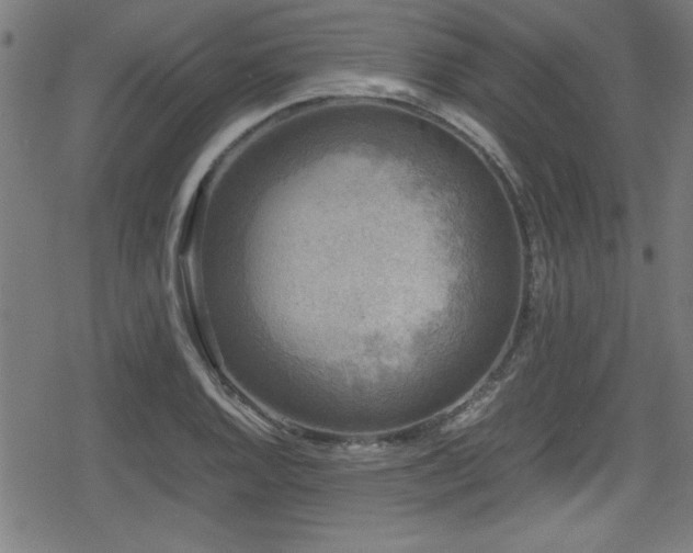 X0000078861128200611131156