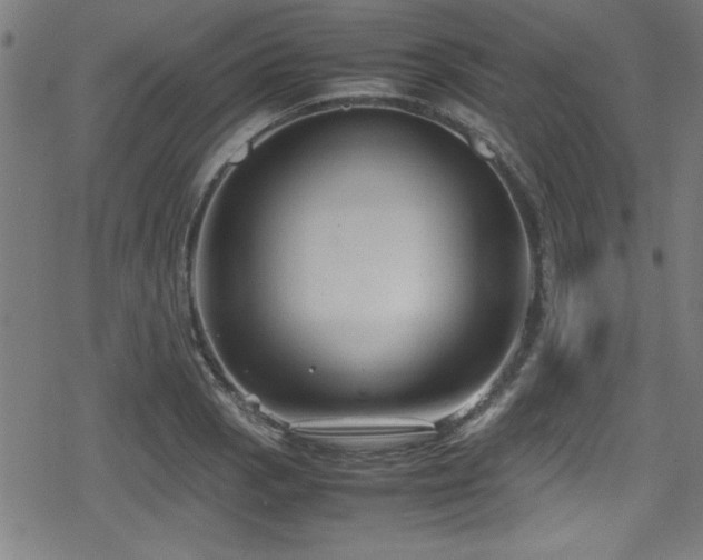 X0000078861129200611131156