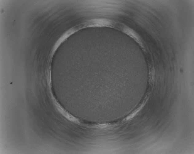 X0000078861130200611131156