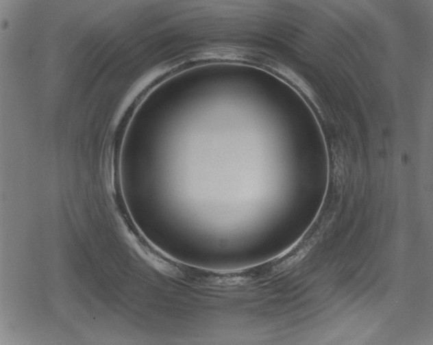 X0000078861131200611131156