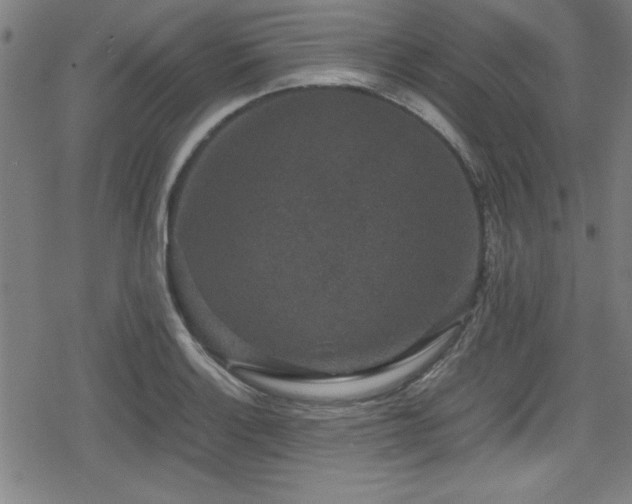 X0000078861132200611131156