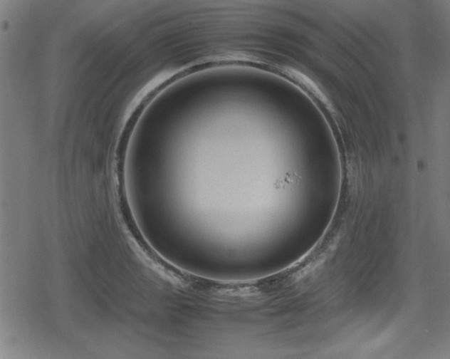 X0000078861133200611131156