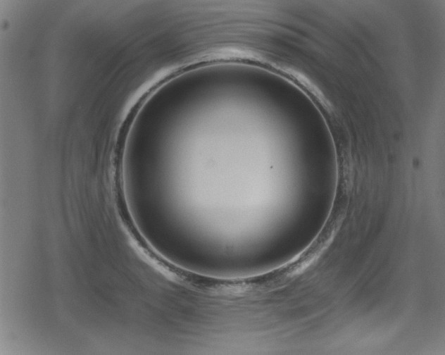 X0000078861134200611131156