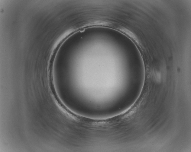 X0000078861135200611131156