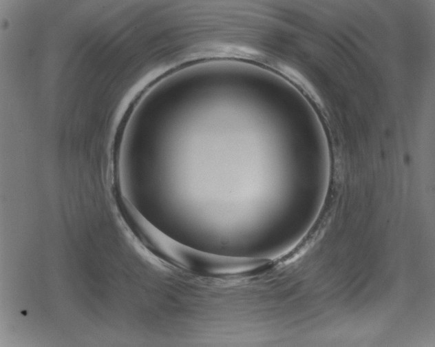 X0000078861136200611131156