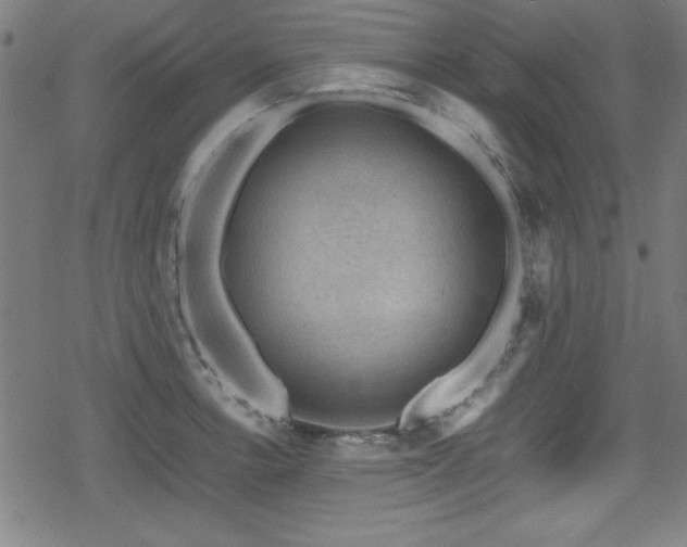 X0000078861138200611131156