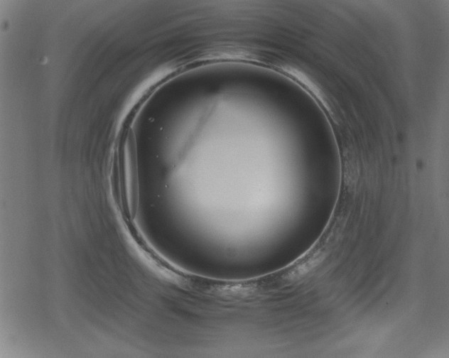 X0000078861139200611131156