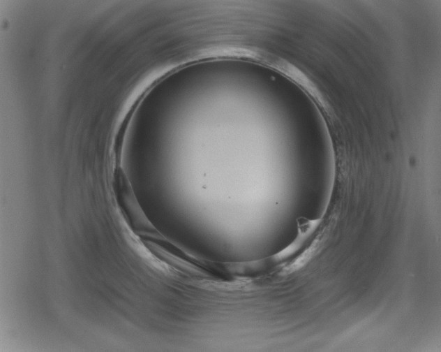 X0000078861140200611131156