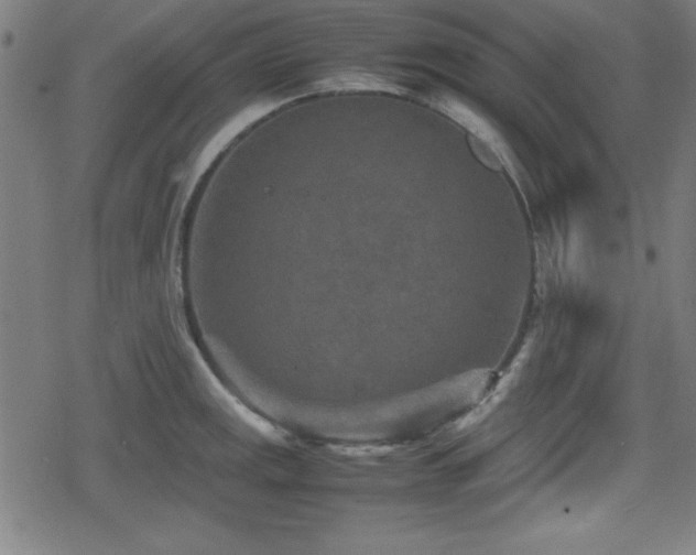 X0000078861141200611131156