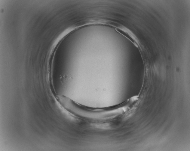 X0000078861143200611131156