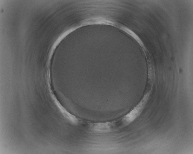 X0000078861144200611131156