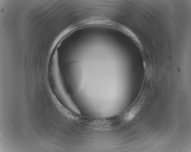 X0000078861146200611131156